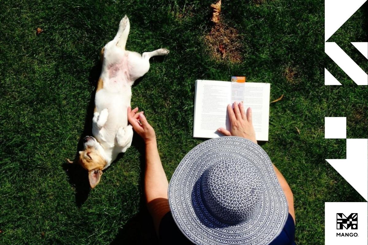 A person wearing a sun hat reading a book while laying down on the grass next to their dog