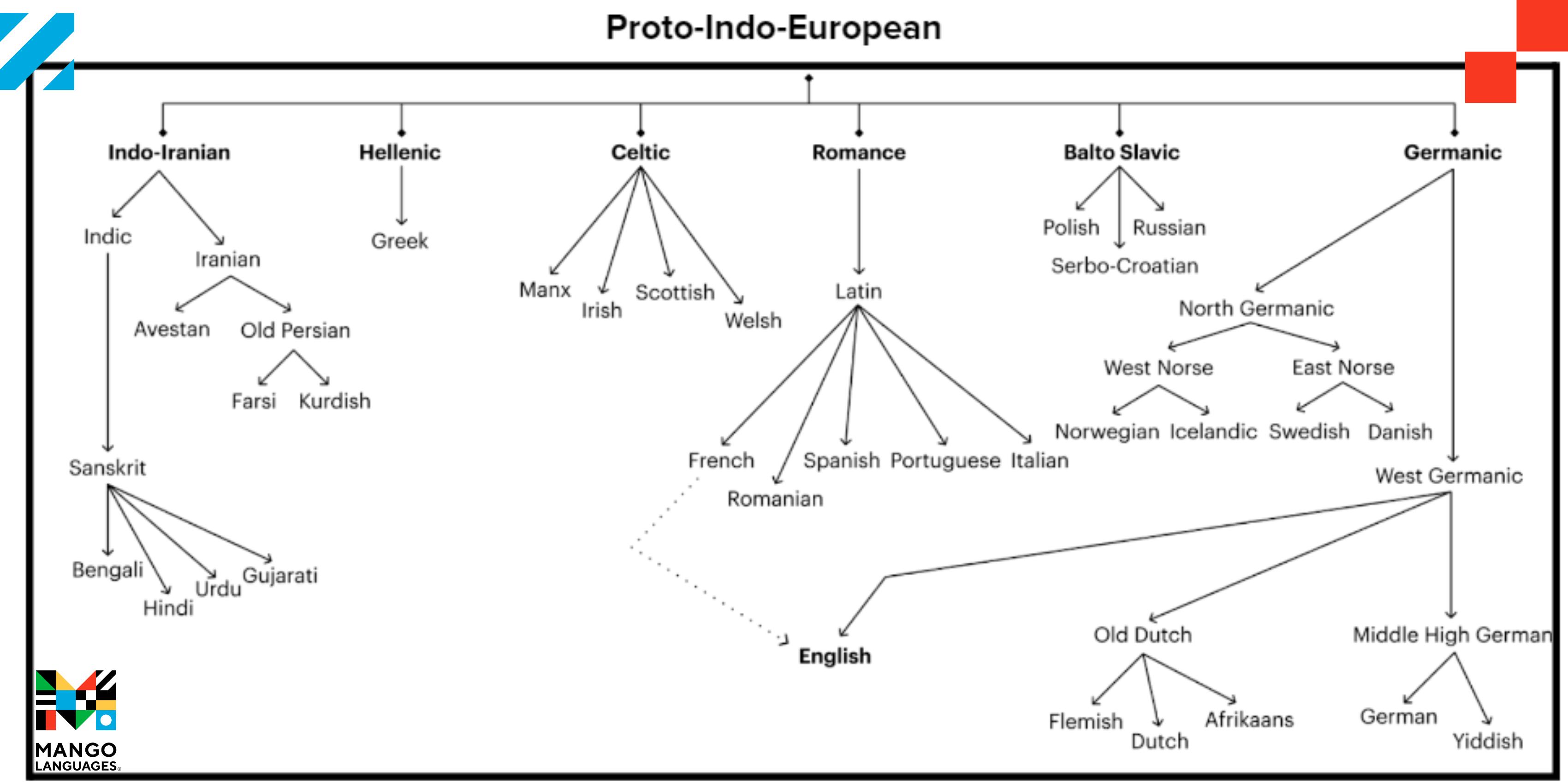 Graph showing how proto-indo-european languages are related