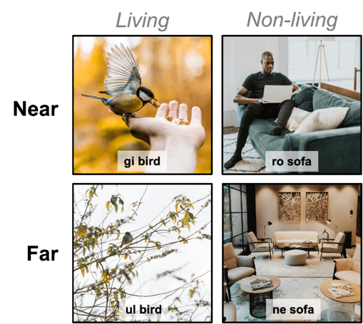 Image on the left top corner: a bird feeding off a human's hand. Image on the right top corner: a man sitting on sofa with a laptop. Image on the left bottom corner: a bird sitting in a tree branches. Image on the right bottom corner: a modernly decorated living room