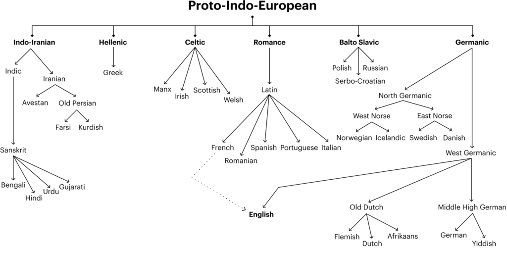 Graph indicating the relationships between Proto-indo-european languages